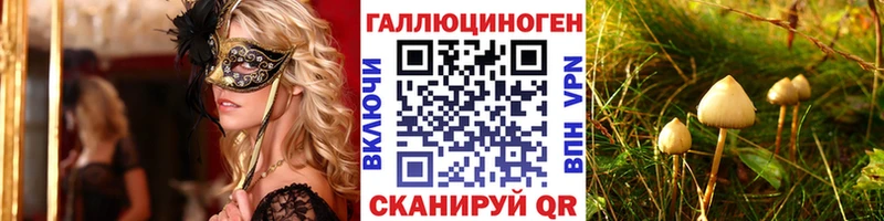 Псилоцибиновые грибы Psilocybine cubensis  дарнет шоп  Туран 